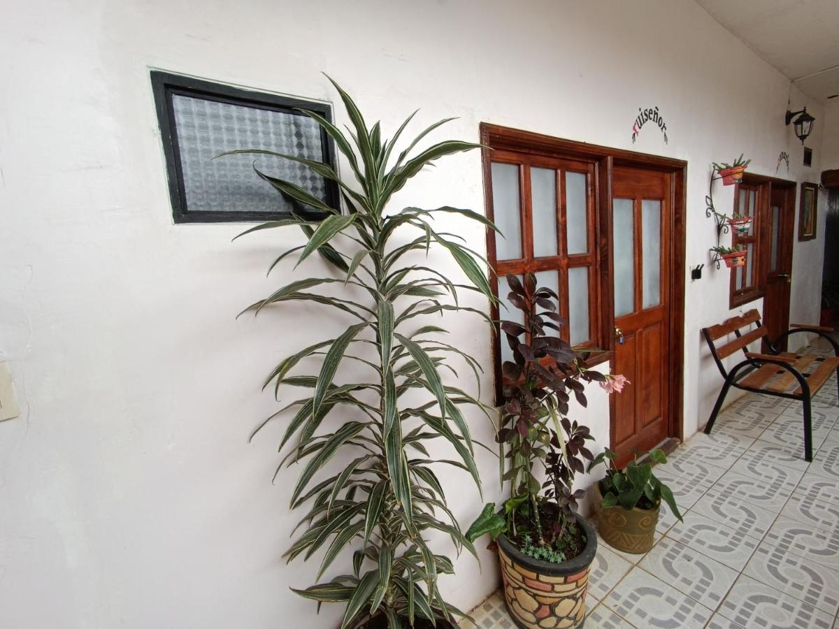 Casa Petirrojo - Habitaciones En Patzcuaro Exterior photo